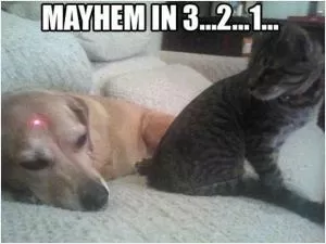 Mayhem in 3... 2... 1 Picture Quote #1