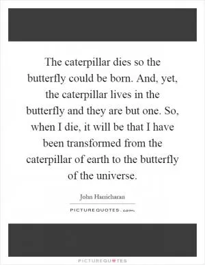 The caterpillar dies so the butterfly could be born. And, yet, the caterpillar lives in the butterfly and they are but one. So, when I die, it will be that I have been transformed from the caterpillar of earth to the butterfly of the universe Picture Quote #1