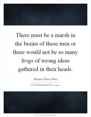There must be a marsh in the brains of these men or there would not be so many frogs of wrong ideas gathered in their heads Picture Quote #1