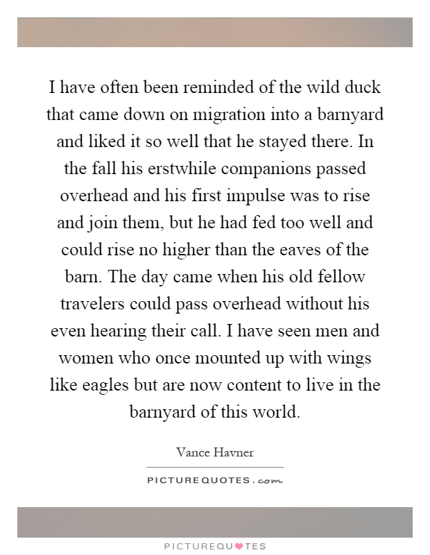 I have often been reminded of the wild duck that came down on migration into a barnyard and liked it so well that he stayed there. In the fall his erstwhile companions passed overhead and his first impulse was to rise and join them, but he had fed too well and could rise no higher than the eaves of the barn. The day came when his old fellow travelers could pass overhead without his even hearing their call. I have seen men and women who once mounted up with wings like eagles but are now content to live in the barnyard of this world Picture Quote #1