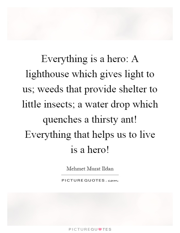 Everything is a hero: A lighthouse which gives light to us; weeds that provide shelter to little insects; a water drop which quenches a thirsty ant! Everything that helps us to live is a hero! Picture Quote #1