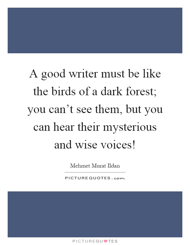 A good writer must be like the birds of a dark forest; you can't see them, but you can hear their mysterious and wise voices! Picture Quote #1
