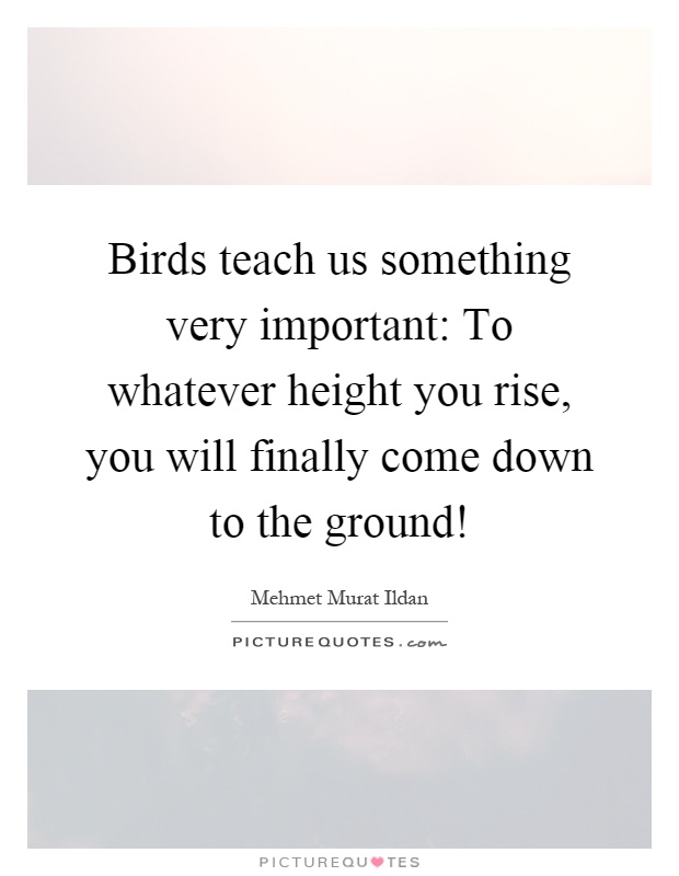 Birds teach us something very important: To whatever height you rise, you will finally come down to the ground! Picture Quote #1