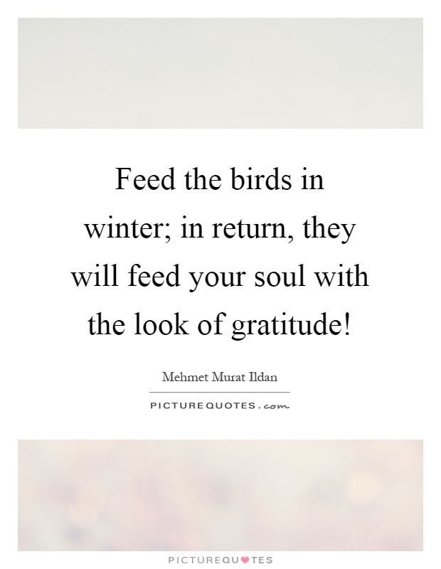 Feed the birds in winter; in return, they will feed your soul with the look of gratitude! Picture Quote #1