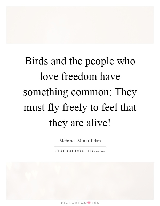 Birds and the people who love freedom have something common: They must fly freely to feel that they are alive! Picture Quote #1