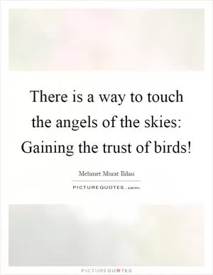 There is a way to touch the angels of the skies: Gaining the trust of birds! Picture Quote #1