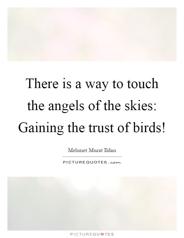 There is a way to touch the angels of the skies: Gaining the trust of birds! Picture Quote #1