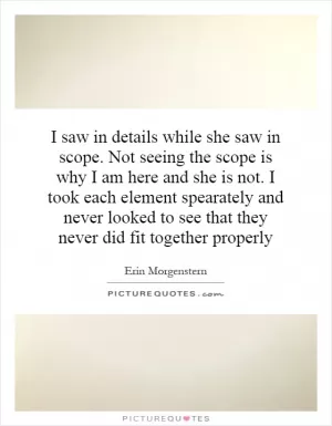 I saw in details while she saw in scope. Not seeing the scope is why I am here and she is not. I took each element spearately and never looked to see that they never did fit together properly Picture Quote #1