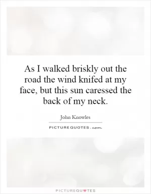 As I walked briskly out the road the wind knifed at my face, but this sun caressed the back of my neck Picture Quote #1