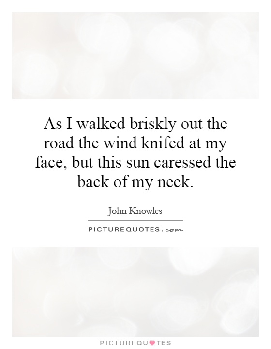 As I walked briskly out the road the wind knifed at my face, but this sun caressed the back of my neck Picture Quote #1