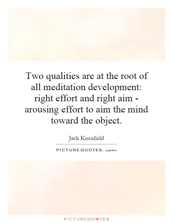 Two qualities are at the root of all meditation development: right effort and right aim - arousing effort to aim the mind toward the object Picture Quote #1