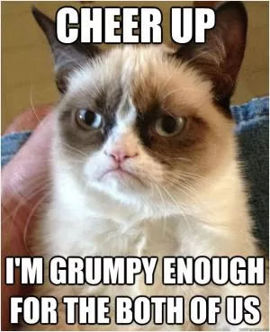 Cheer Up. I’m grumpy enough for the both of us Picture Quote #1