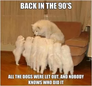 Back in the 90’s all the dogs were let out and nobody knows who did it Picture Quote #1