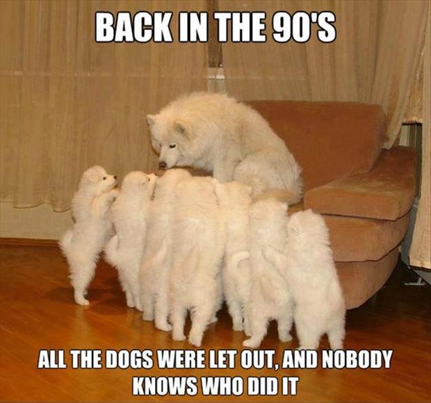 Back in the 90's all the dogs were let out and nobody knows who did it Picture Quote #1