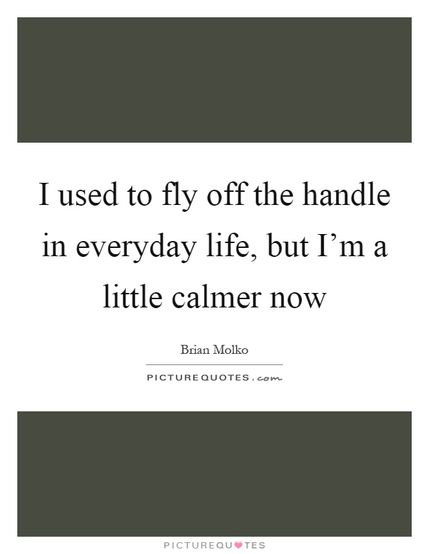 I used to fly off the handle in everyday life, but I'm a little calmer now Picture Quote #1