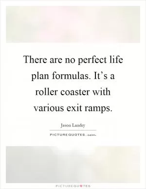 There are no perfect life plan formulas. It’s a roller coaster with various exit ramps Picture Quote #1