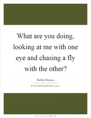 What are you doing, looking at me with one eye and chasing a fly with the other? Picture Quote #1