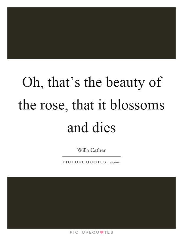 Oh, that's the beauty of the rose, that it blossoms and dies Picture Quote #1