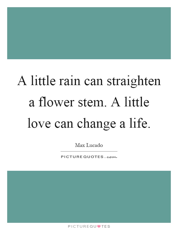 A little rain can straighten a flower stem. A little love can change a life Picture Quote #1