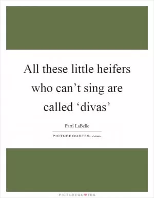 All these little heifers who can’t sing are called ‘divas’ Picture Quote #1