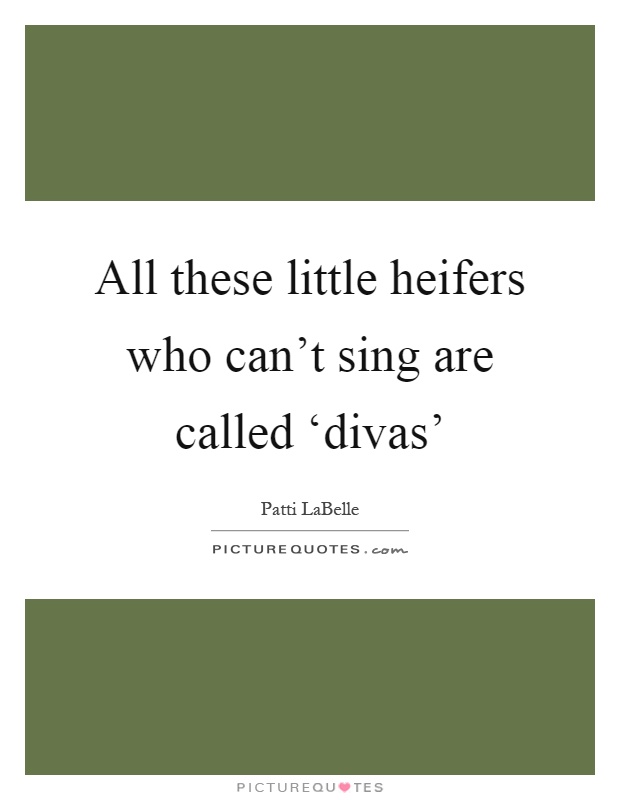 All these little heifers who can't sing are called ‘divas' Picture Quote #1
