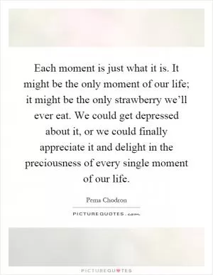 Each moment is just what it is. It might be the only moment of our life; it might be the only strawberry we’ll ever eat. We could get depressed about it, or we could finally appreciate it and delight in the preciousness of every single moment of our life Picture Quote #1