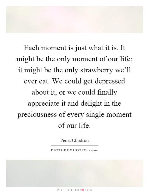 Each moment is just what it is. It might be the only moment of our life; it might be the only strawberry we'll ever eat. We could get depressed about it, or we could finally appreciate it and delight in the preciousness of every single moment of our life Picture Quote #1