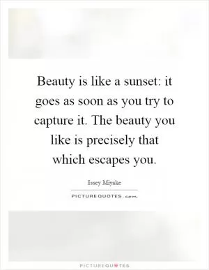 Beauty is like a sunset: it goes as soon as you try to capture it. The beauty you like is precisely that which escapes you Picture Quote #1