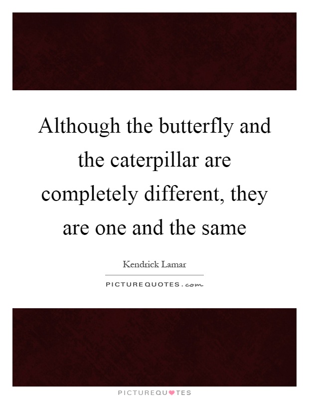 Although the butterfly and the caterpillar are completely different, they are one and the same Picture Quote #1