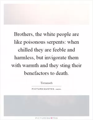 Brothers, the white people are like poisonous serpents: when chilled they are feeble and harmless, but invigorate them with warmth and they sting their benefactors to death Picture Quote #1