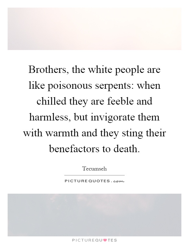 Brothers, the white people are like poisonous serpents: when chilled they are feeble and harmless, but invigorate them with warmth and they sting their benefactors to death Picture Quote #1