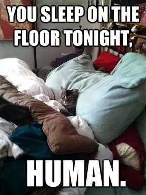 You sleep on the floor tonight human Picture Quote #1