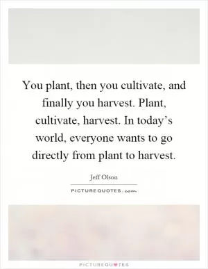 You plant, then you cultivate, and finally you harvest. Plant, cultivate, harvest. In today’s world, everyone wants to go directly from plant to harvest Picture Quote #1