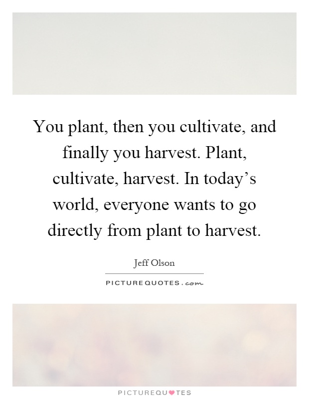 You plant, then you cultivate, and finally you harvest. Plant, cultivate, harvest. In today's world, everyone wants to go directly from plant to harvest Picture Quote #1