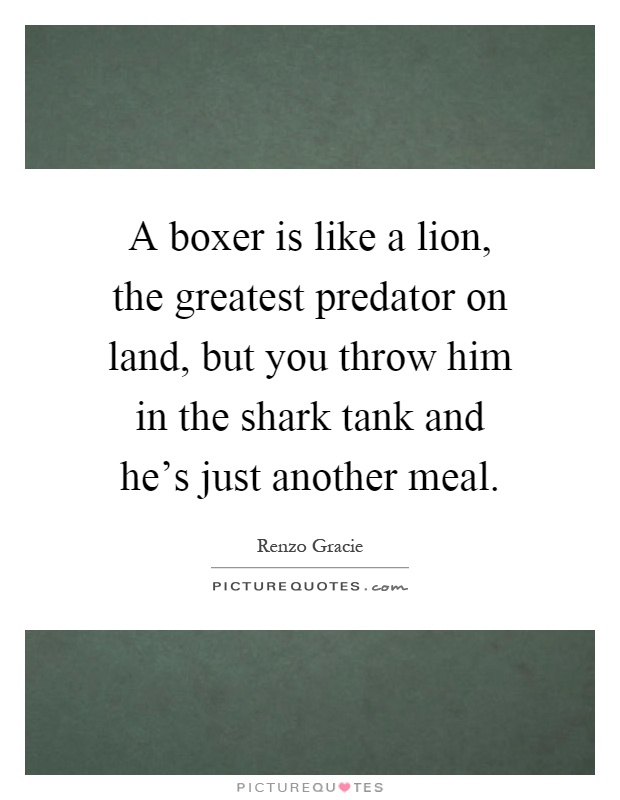 A boxer is like a lion, the greatest predator on land, but you throw him in the shark tank and he's just another meal Picture Quote #1