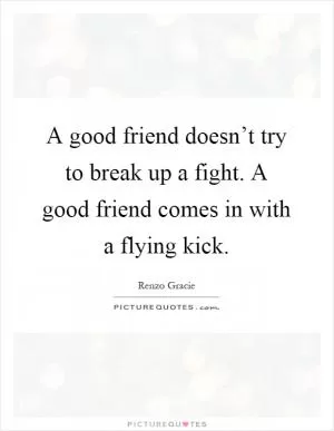 A good friend doesn’t try to break up a fight. A good friend comes in with a flying kick Picture Quote #1