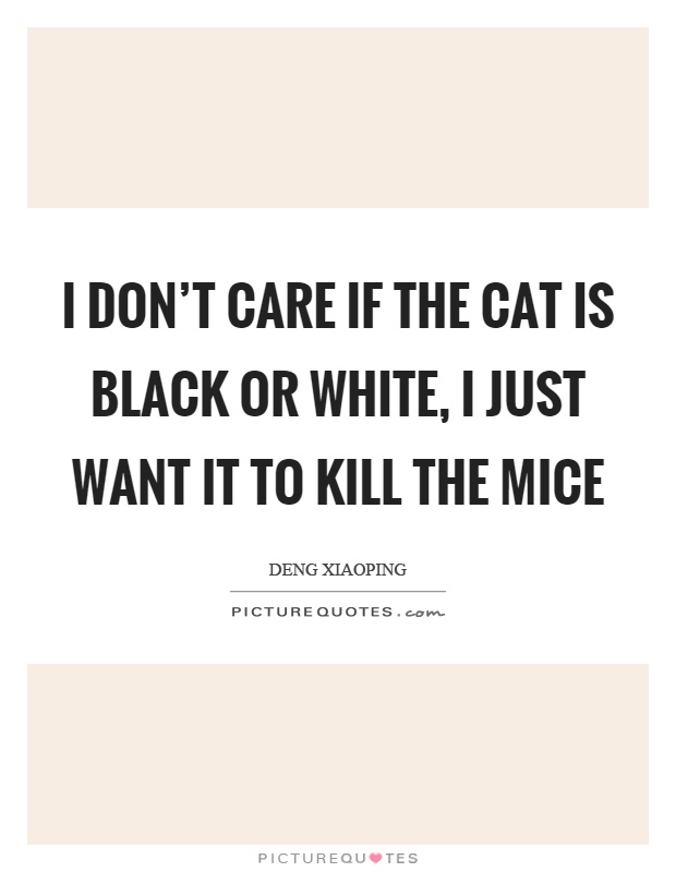 I don't care if the cat is black or white, I just want it to kill the mice Picture Quote #1