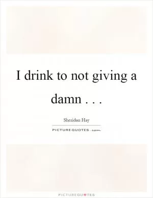 I drink to not giving a damn Picture Quote #1