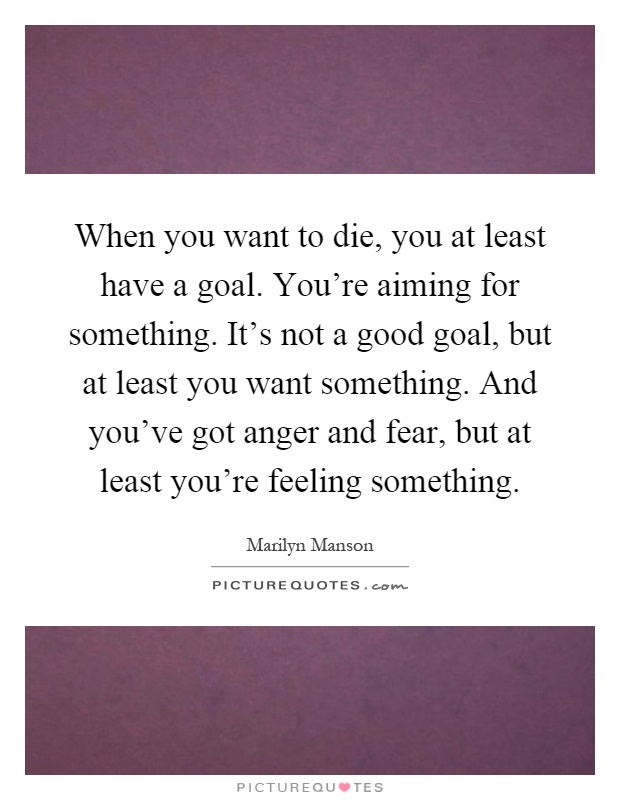 When you want to die, you at least have a goal. You're aiming for something. It's not a good goal, but at least you want something. And you've got anger and fear, but at least you're feeling something Picture Quote #1