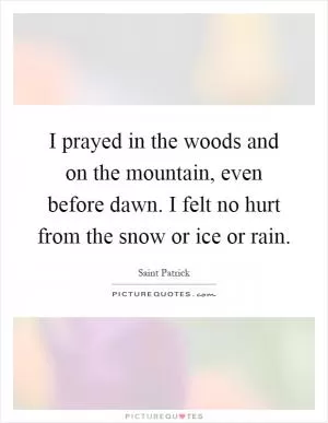 I prayed in the woods and on the mountain, even before dawn. I felt no hurt from the snow or ice or rain Picture Quote #1
