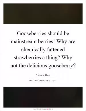 Gooseberries should be mainstream berries! Why are chemically fattened strawberries a thing? Why not the delicious gooseberry? Picture Quote #1