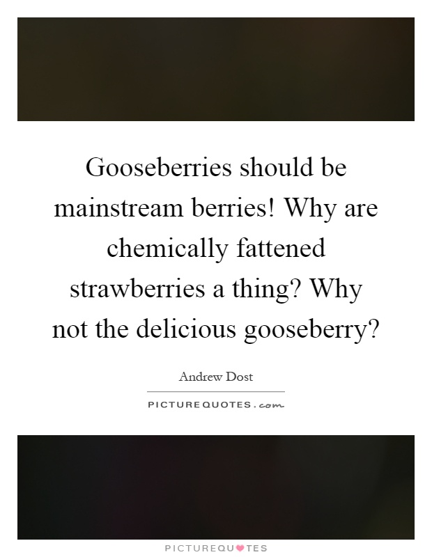 Gooseberries should be mainstream berries! Why are chemically fattened strawberries a thing? Why not the delicious gooseberry? Picture Quote #1