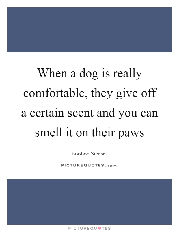 When a dog is really comfortable, they give off a certain scent and you can smell it on their paws Picture Quote #1