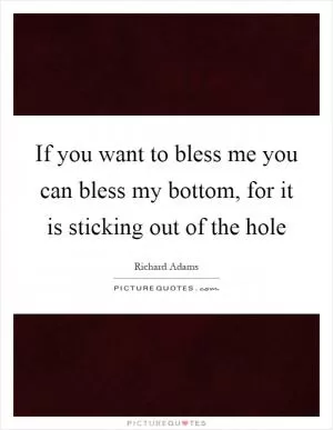 If you want to bless me you can bless my bottom, for it is sticking out of the hole Picture Quote #1