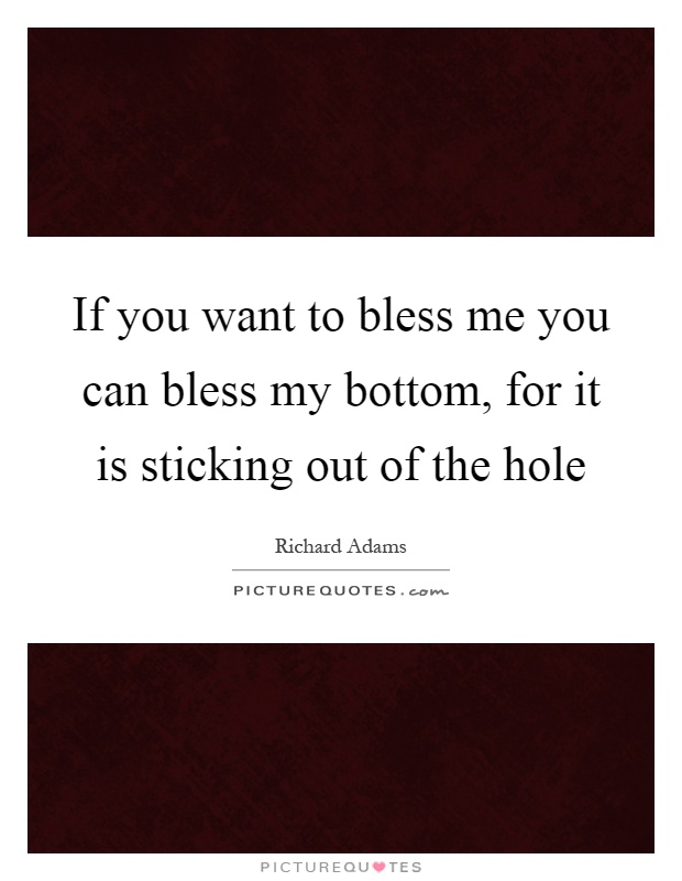 If you want to bless me you can bless my bottom, for it is sticking out of the hole Picture Quote #1
