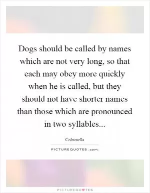 Dogs should be called by names which are not very long, so that each may obey more quickly when he is called, but they should not have shorter names than those which are pronounced in two syllables Picture Quote #1