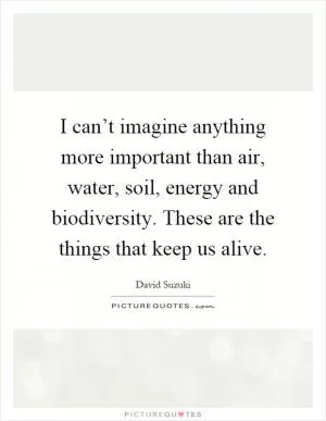 I can’t imagine anything more important than air, water, soil, energy and biodiversity. These are the things that keep us alive Picture Quote #1