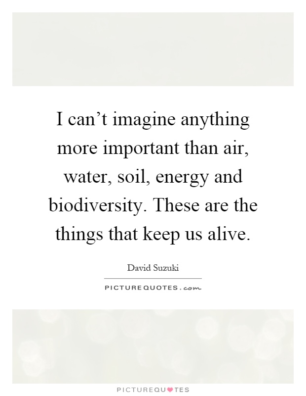 I can't imagine anything more important than air, water, soil, energy and biodiversity. These are the things that keep us alive Picture Quote #1