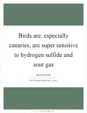 Birds are, especially canaries, are super sensitive to hydrogen sulfide and sour gas Picture Quote #1