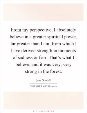 From my perspective, I absolutely believe in a greater spiritual power, far greater than I am, from which I have derived strength in moments of sadness or fear. That’s what I believe, and it was very, very strong in the forest Picture Quote #1
